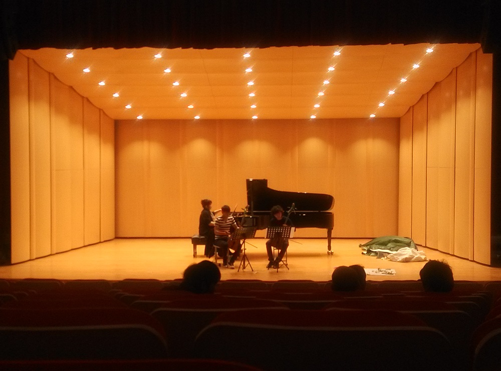 錫林郭勒國際馬頭琴學(xué)院音樂廳反音板